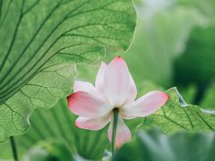 -北山街历史文化街区