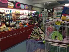 -瑞派宠物医院·24小时骨科·心脏·核磁(哈尔滨南岗店)