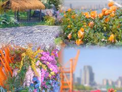 -上海滨江森林公园