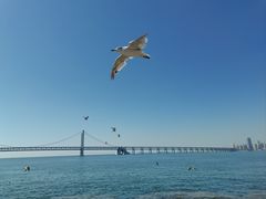 -星海广场