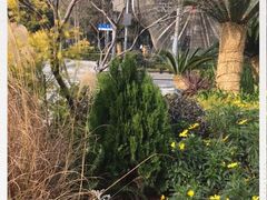 -海上海弘基休闲广场