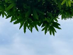 -番禺广场(市桥街道)