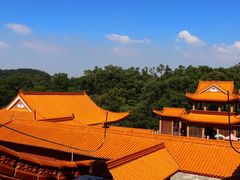 -深圳仙湖植物园
