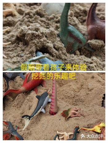 假期带着孩子来体验挖掘的乐趣吧