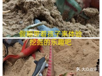 假期带着孩子来体验挖掘的乐趣吧
