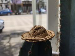 -收获咖啡HARVEST RESERVE(苍山店)