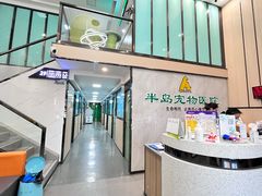 -半岛宠物医院24小时(科华中路店)