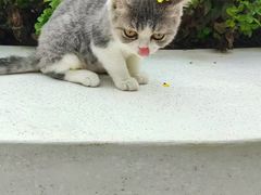 -禾匙素食自助(莱蒙都会店)