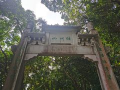 -梧桐山风景名胜区