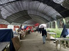 -秀丽东方