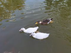 -迎泽公园