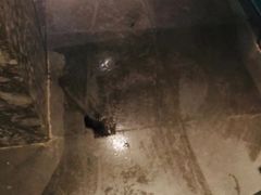 -上海天禧嘉福璞缇酒店