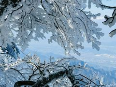 -张家界天门山国家森林公园