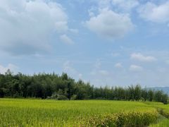 -良渚古城遗址公园