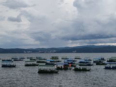 -抚仙湖禄充风景区