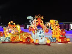 -沈阳奥体冰雪嘉年华