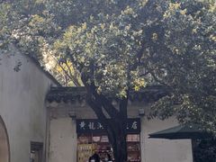 -杭州黄龙洞