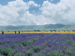 -青海湖国家重点风景名胜区