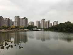 -新江湾城公园