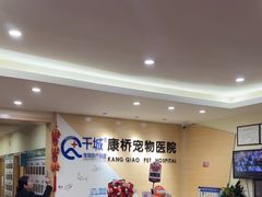 -千城康桥宠物医院·猫科·骨科·心脏