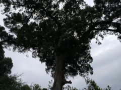 -金堂县云顶石城风景区