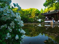 -嘉定紫藤园