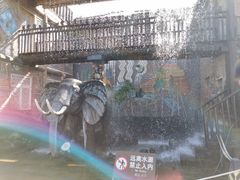 -呀路古热带植物园