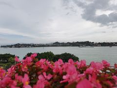 -鹭江宾馆·观海餐厅