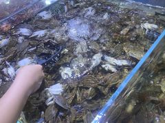 -聚盛源蒸汽海鲜火锅烤肉自助(巨川金海岸购物广场店)