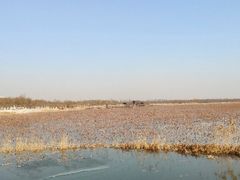 -天津东丽湖风景区