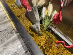 -华夏良子·足道SPA艾灸(胜利路店)