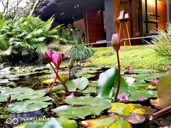-微热山丘(台北民生公园门市店)