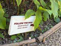 -大象粑粑造纸公园