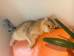 -潇湘楼(环保园店)