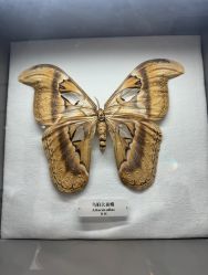 -酷嗒动物文化乐园(cutezoo西溪乐天城店)