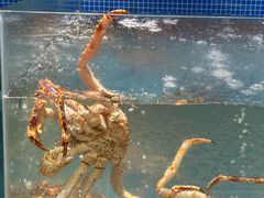 -东海怡品海鲜豆捞(星街坊店)