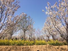 -古柏渡飞黄旅游区