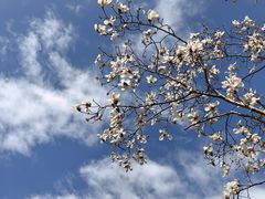 -中关村生命科学园