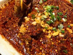 -柴窝堡22号辣子鸡·传承新疆菜