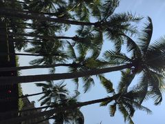 iphone_upload_pic-岘港皇冠假日酒店
