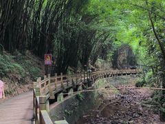 -凤栖山