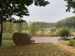 -河南省黄河迎宾馆