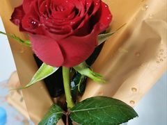 -FEI FEI FLOWER鲜花店·气球派对·宝宝宴布置(虹口德必运动Loft店)