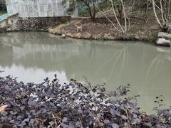-宁波野生动物园