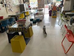 -平行世界·猫咖(首经贸店)