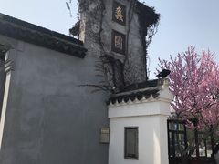 -无锡蠡湖国家湿地公园-蠡园