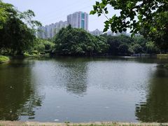-晓港公园