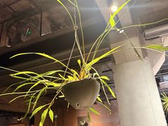 -一尺花园(首钢店)