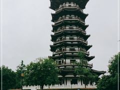 -洋湖国家湿地公园