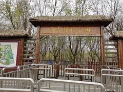 -西青郊野公园